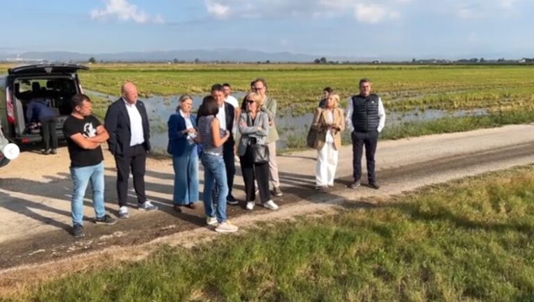 Agricultura compromet “un acompanyament adequat i correcte” als pagesos afectats per les pluges torrencials de l’Ebre (vídeo)