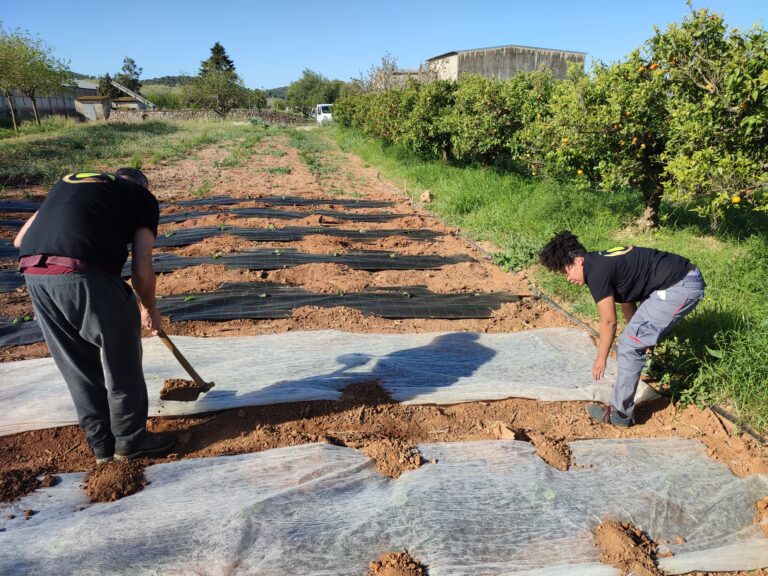 ‘Forma part del canvi’, la nova crida del Projecte Lliures, arriba a les Terres de l’Ebre
