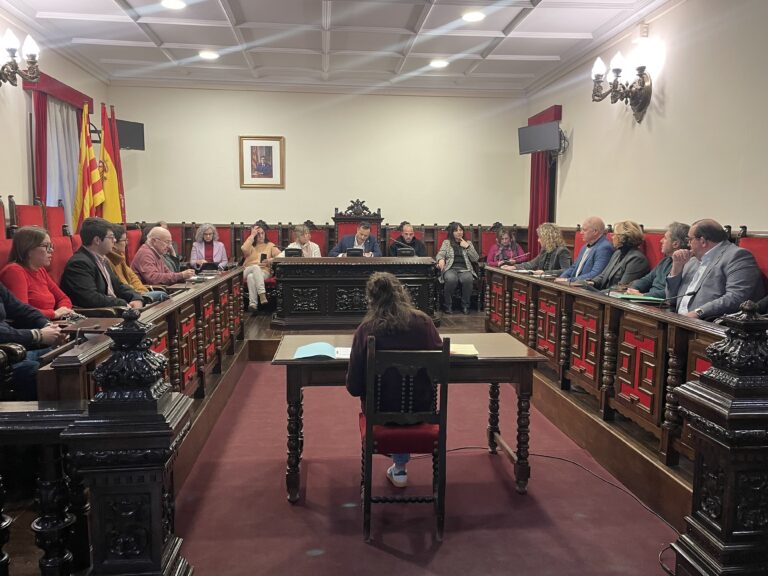 Tortosa aprova la revisió de preus del subministrament energètic de l’enllumenat públic