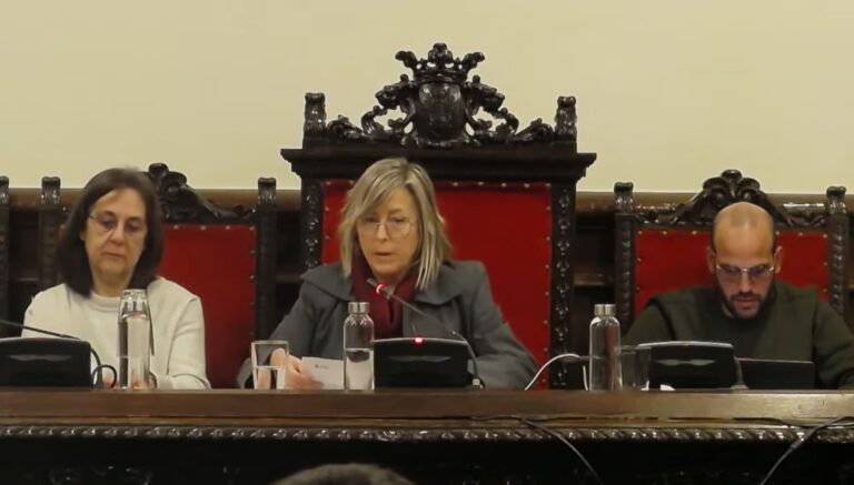 El ple de Tortosa aprova el control d’emissions industrials tot i les reticències perquè suposi un senyal “hostil” a l’activitat econòmica