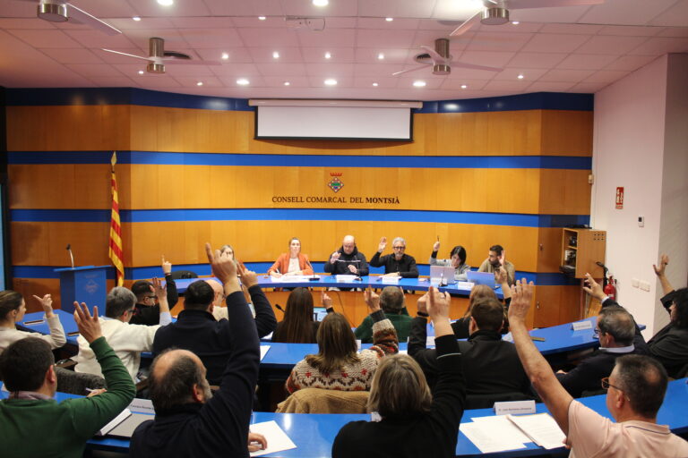 Aprovat el Pla Comarcal de Joventut 2026-2029 del Consell Comarcal del Montsià