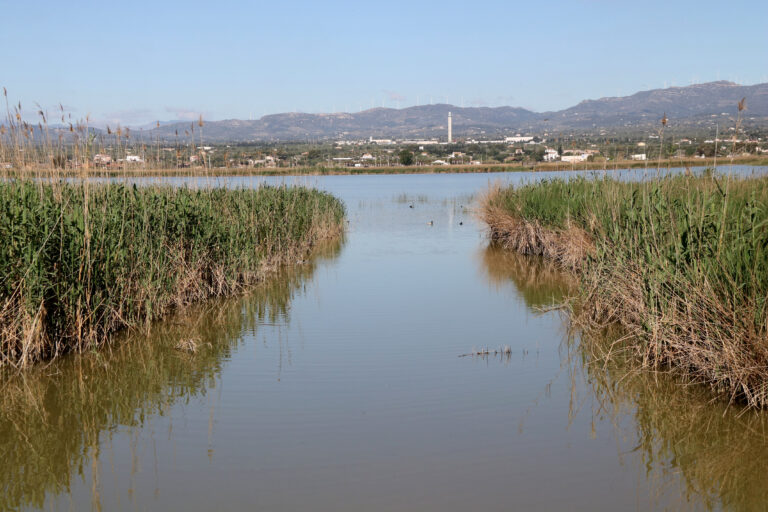 Forestal Catalana licita per 1,33 milions la plataforma de monitorització de les basses del delta de l’Ebre
