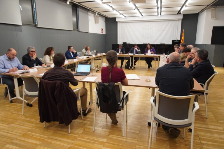 El Consell Rector de l’IDECE ratifica el suport a projectes estratègics del territori