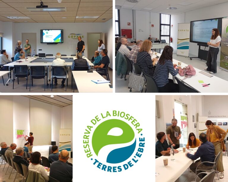 La Reserva de la Biosfera de les Terres de l’Ebre finalitza les quatre sessions de debat temàtiques per actualitzar el seu òrgan de participació