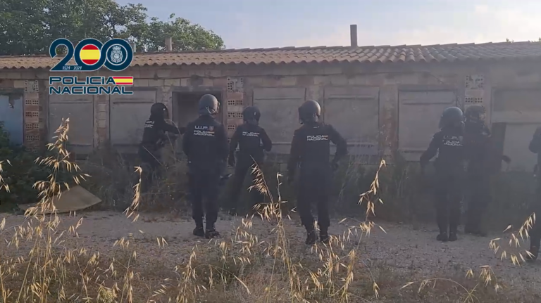 La Policia Nacional confisca més de 600 plantes de cànnabis en una plantació indoor a Ulldecona (vídeo)