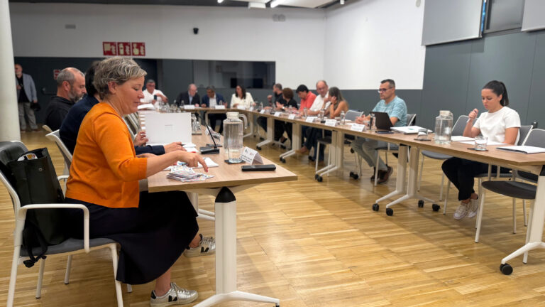 Els festivals de les Terres de l’Ebre reivindiquen el seu impacte econòmic al Consell Econòmic i Social