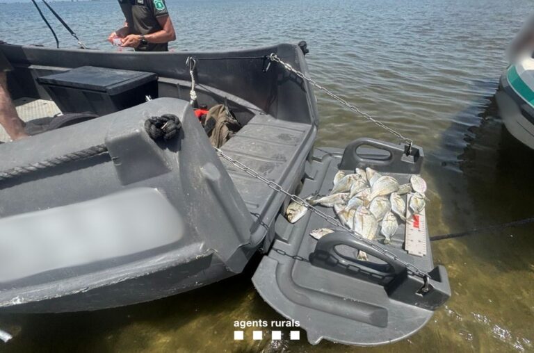 Dues persones enxampades als Alfacs per pescar sense llicència i practicar el marisqueig il·legal