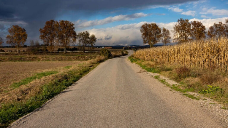 3,79 MEUR en ajuts per recuperar el potencial productiu de les explotacions agràries afectades pels aiguats i la DANA Alice a Terres de l’Ebre